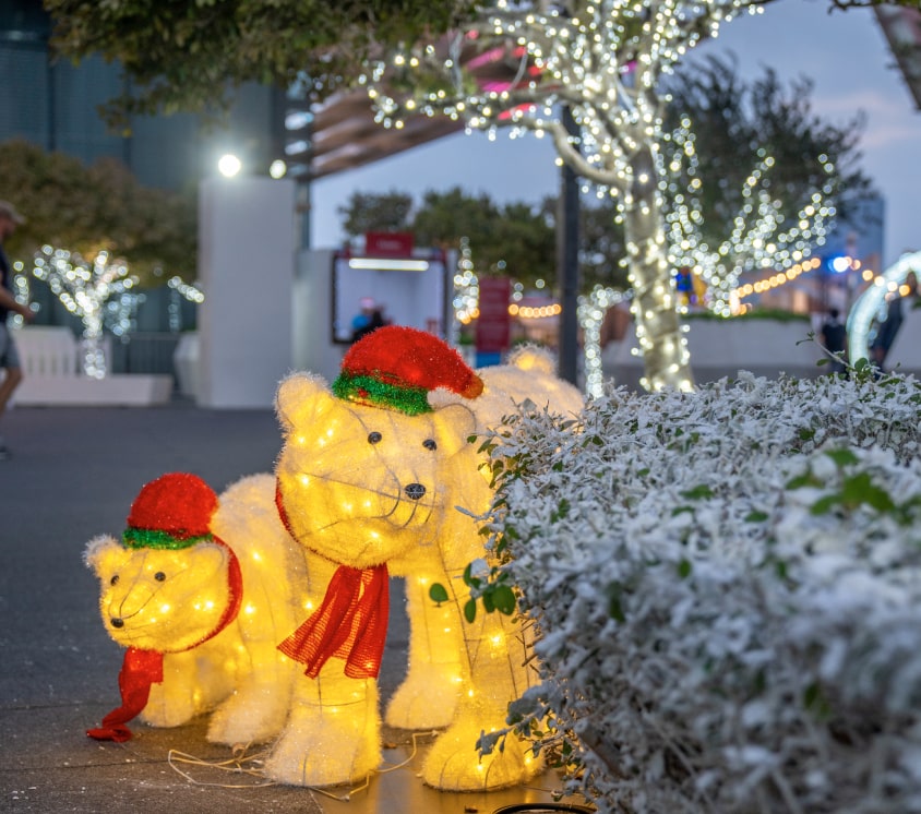 A Wonderland of Entertainment and Fames